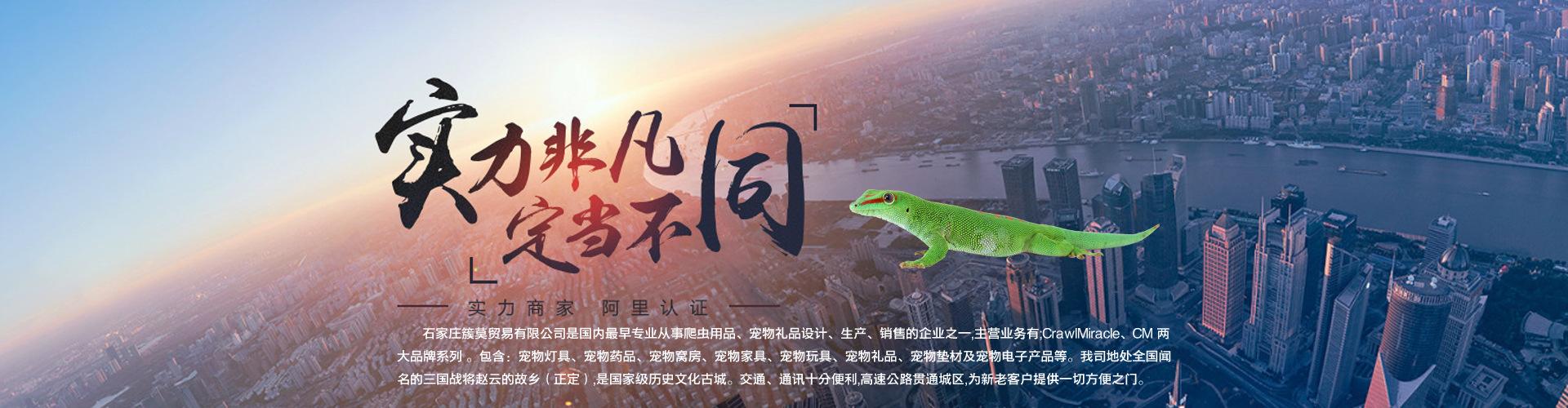 动物园家族宠物
